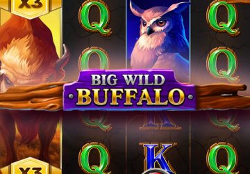 Игровой автомат Big Wild Buffalo в OG Casino